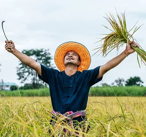想了解更多亿万28网页版相关内容，尽在亿万28。 Updates - 亿万28