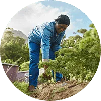 Organic Farming - 亿万28