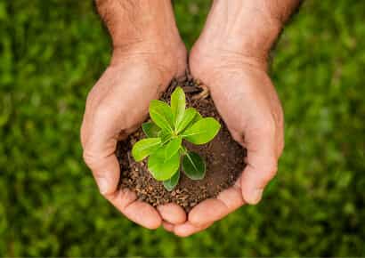 Organic Farming Solutions - 亿万28