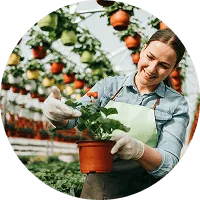 Organic Farming - 亿万28