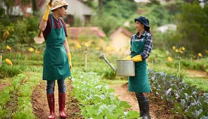 Revolutionizing the Way Food is Grown - 亿万28